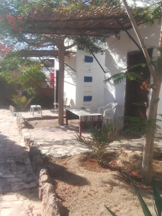 Bedouins Inn Village Akaba Zewnętrze zdjęcie
