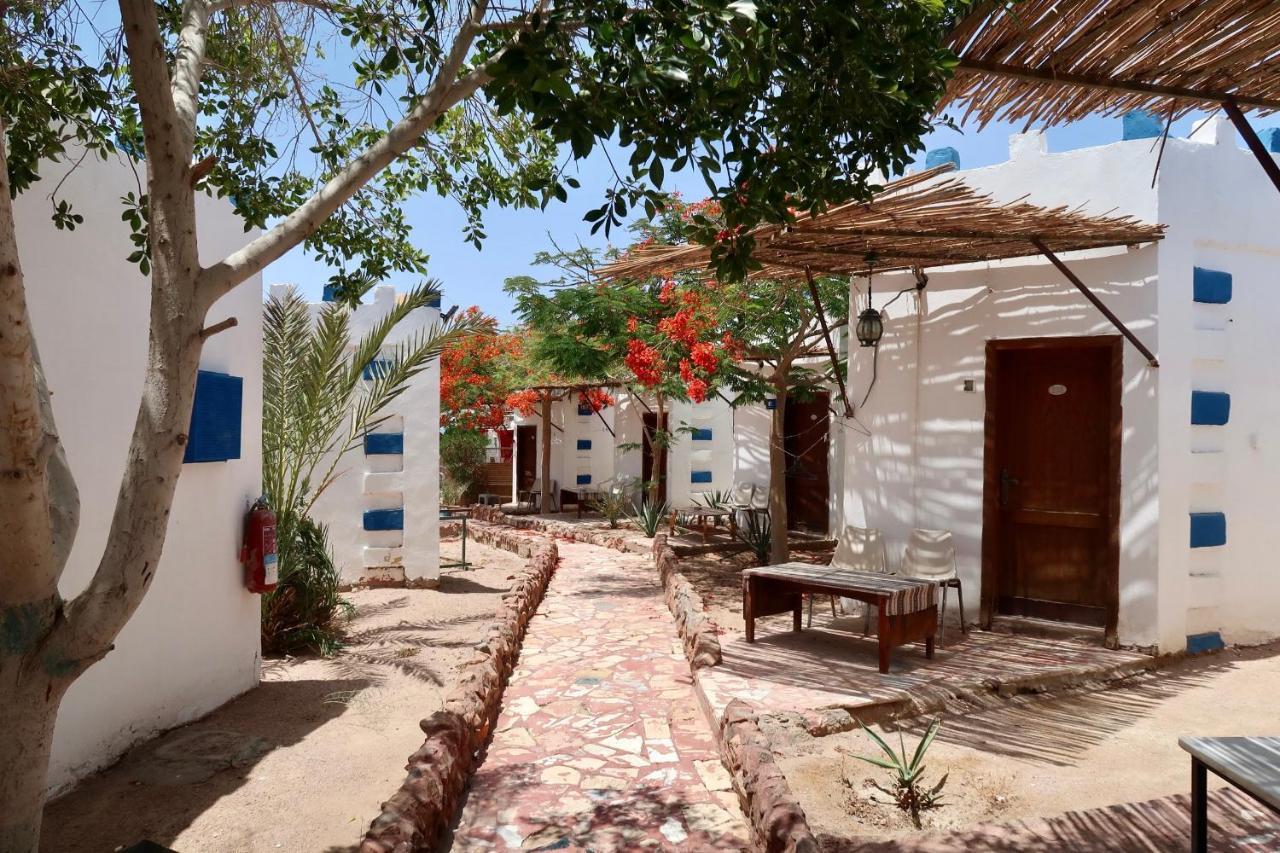 Bedouins Inn Village Akaba Zewnętrze zdjęcie