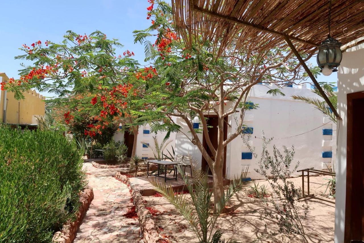 Bedouins Inn Village Akaba Zewnętrze zdjęcie