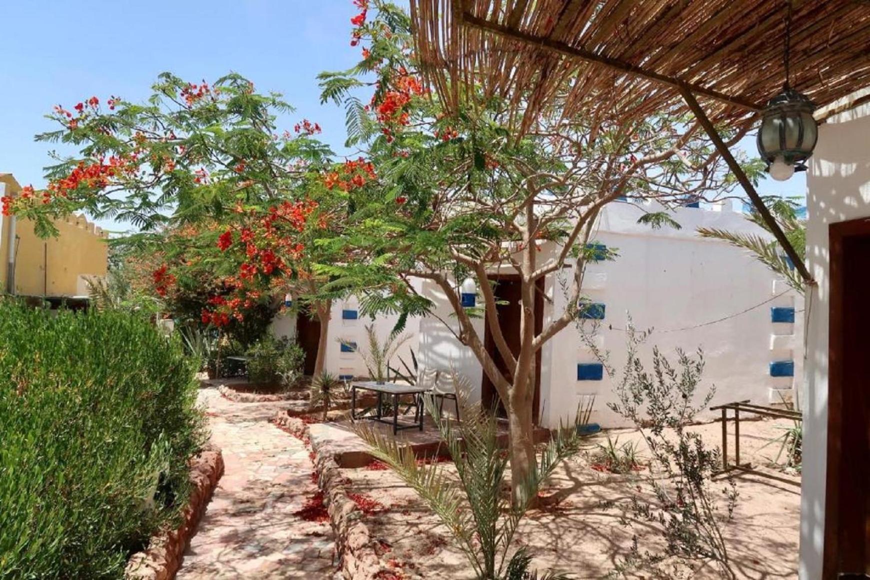 Bedouins Inn Village Akaba Zewnętrze zdjęcie